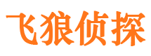 阜平外遇调查取证